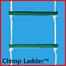 chimp_ladder.jpg
